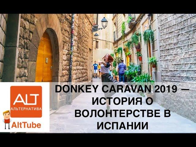 ALTTube #75. Путешествие Насти в Испанию: Donkey caravan