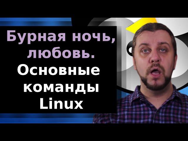 Основные команды Linux, которые должен знать каждый | Linux для начинающих