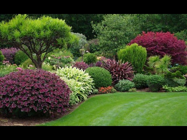 Top 10 Low-Maintenance Plants for Beginners | Easy Gardening Tips for a Gorgeous Garden