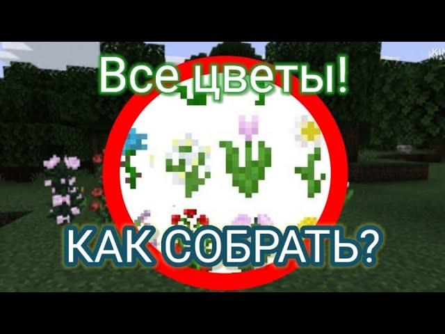 Как собрать все цветы в майнкрафт??