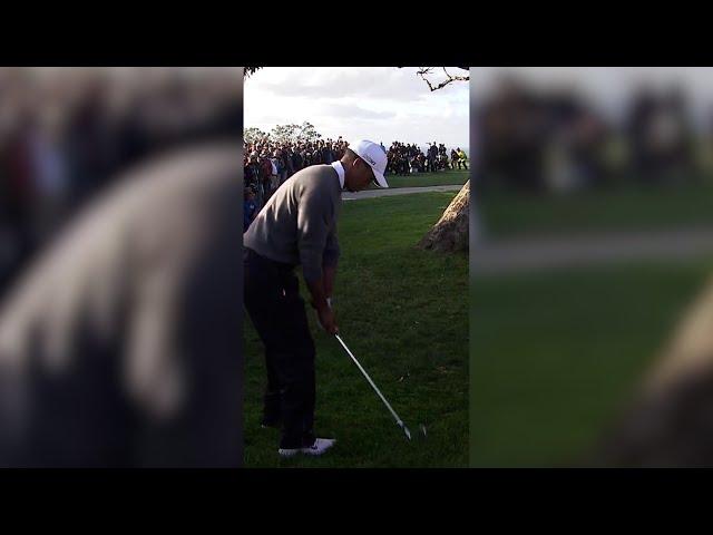 Tiger’s best shots at Torrey 