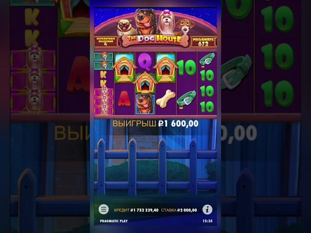 ПОЛЯНА БУДОК И ЗАНОС В СОБАКАХ  dog house megaways #заносынедели #казино #casino