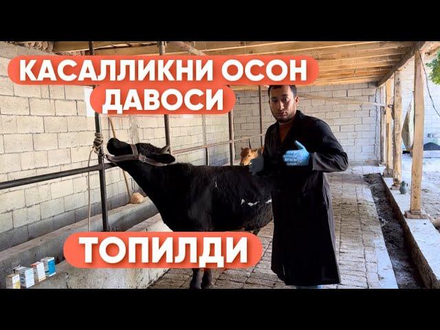 КАСАЛЛИКНИ ОСОН ДАВОСИ ТОПИЛДИ #romavetuz #dostim #2024