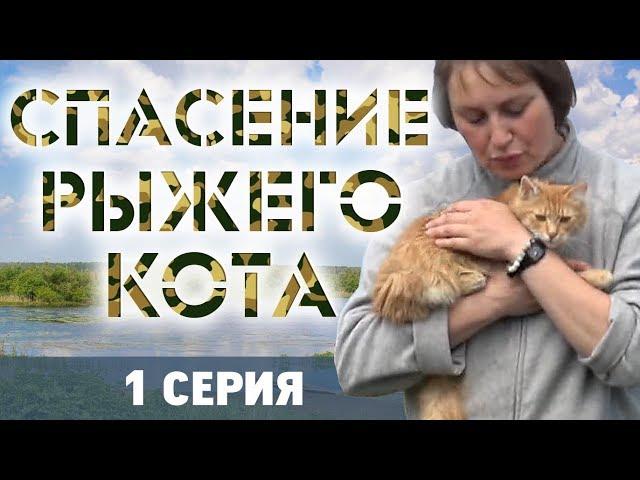 СПАСЕНИЕ РЫЖЕГО КОТА - 1 серия  КОТОЖИЗНЬ! 16 и 18 июня 2019