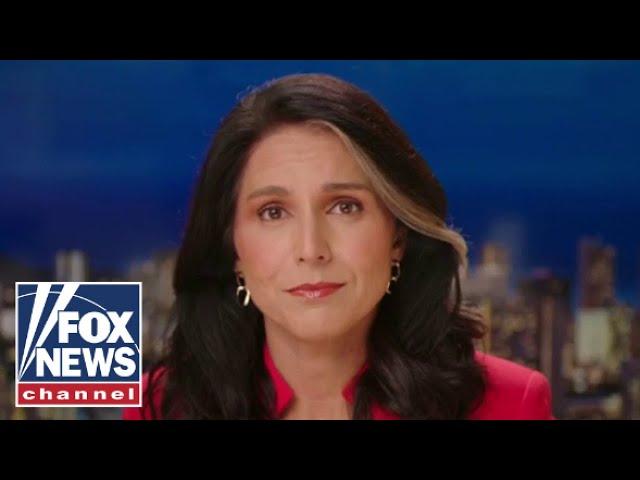 Tulsi Gabbard: Where are Biden and Harris?