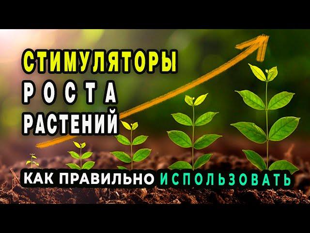 Стимуляторы роста растений РАДИФАРМ, ВИВА, КВИК ЛИНК, МЕГАФОЛ. Как применять. Ответы на вопросы