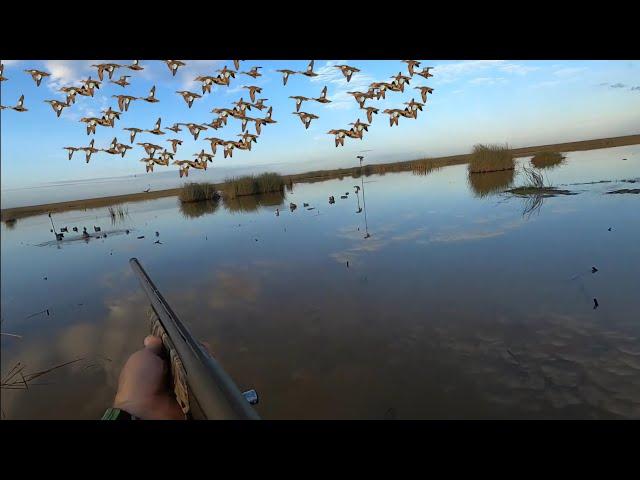 5 Man Teal Beat Down In The Everglades