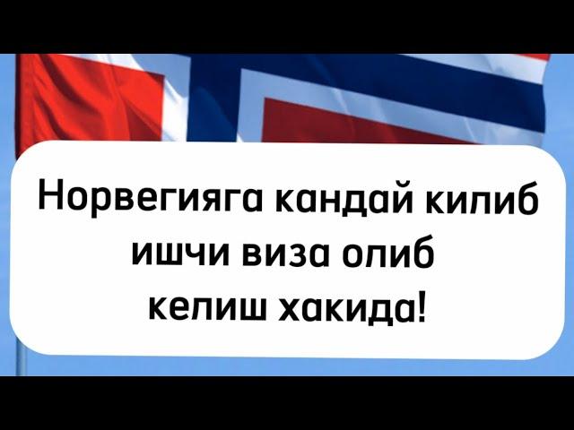 Норвегияга ишга бориш! Норвегияга кандай килиб ишчи виза олиб келиш хакида!