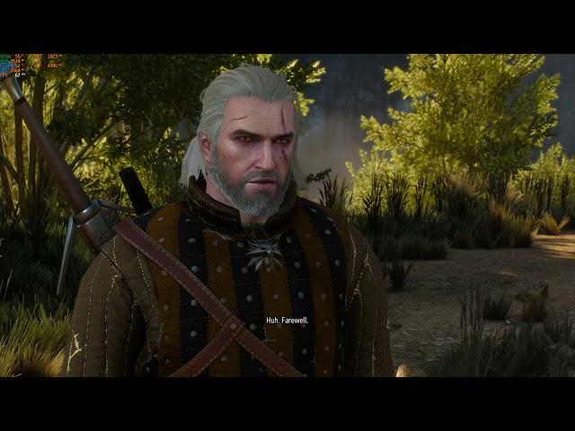 i5 9600K + GTX 1080 Ti - WITCHER 3 (1440P + MAX ULTRA Settings)