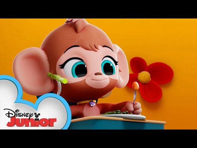 Happy Thanksgiving from TOTS  | T.O.T.S. | Disney Junior