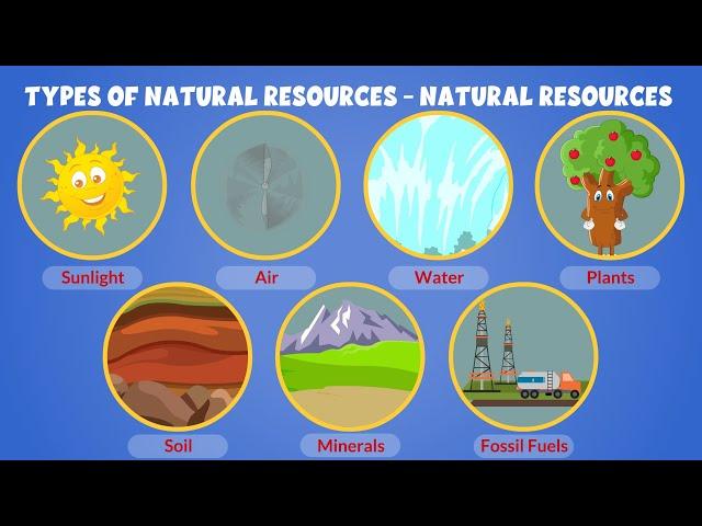 Types of Natural Resources - Natural Resources on Earth - Learning Junction #education #kidsvideo