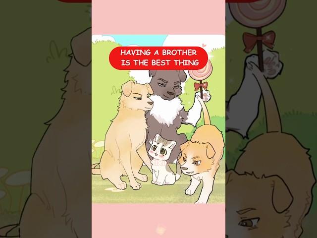 Having a Brother Is the Best Thing #Akixin #cat #animation