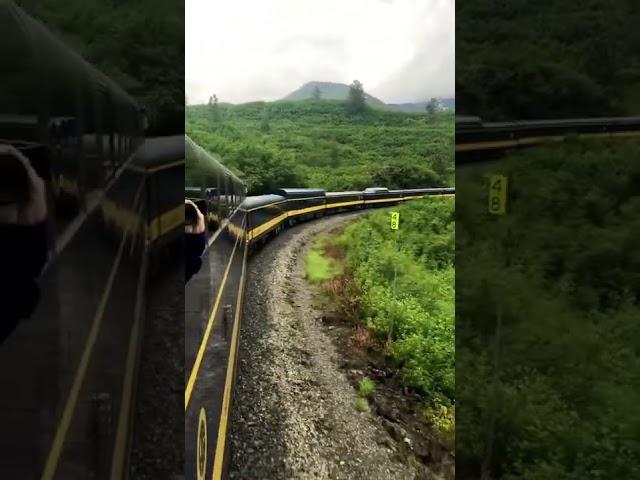 View from the Alaska Railroad