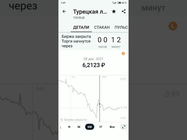 ЧТО ЖДЕТ РУБЛЬ? НА ПРИМЕРЕ ТУРЕЦКОЙ ЛИРЫ. ИЗМЕНЕНИЕ КУРСА ТУРЕЦКОЙ ЛИРЫ