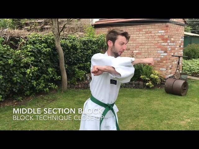 Tae Kwon-Do - Saju Jirugi Tutorial