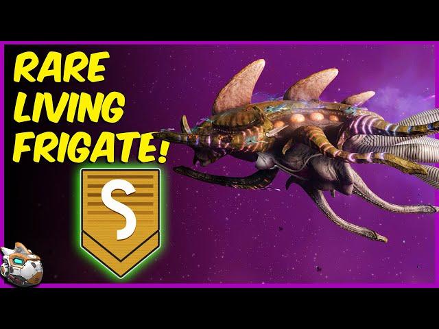 How To Find A Rare S Class Living Frigate! No Man's Sky Endurance Update