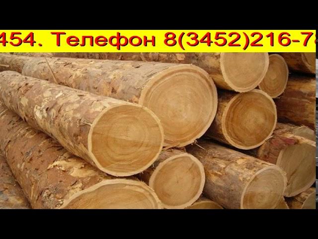 Сосна Пиловочник Тюмень