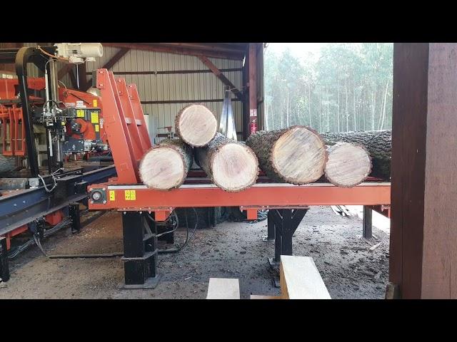 WOODMIZER WB 2000   - INDUSTRIAL SAWMILL  at work