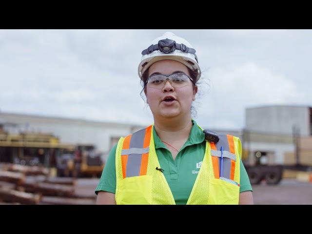 From Trees to Lumber: Watch how boards are made from pine trees