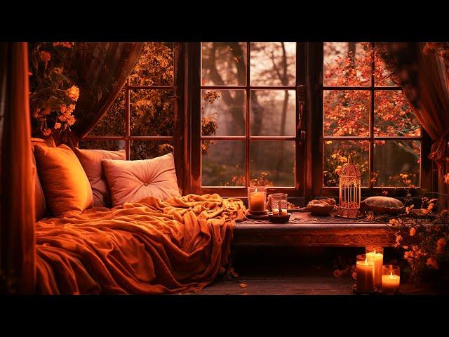 AUTUMN LEAVES ON WINDOW AMBIENCE & Piano Music for Studying and Relaxing