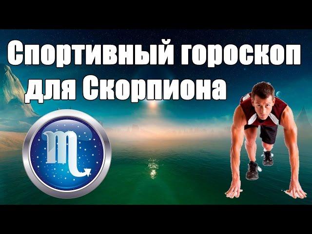 Спортивный гороскоп для Скорпиона. Каким видом спорта лучше заняться .Гороскоп здоровья и красоты.