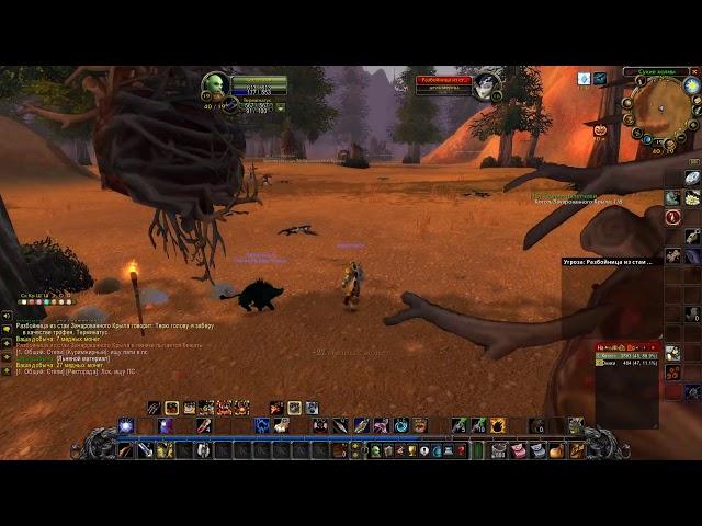 Гарпии-налетчики / Harpy Raiders World of Warcraft  Classic 2019