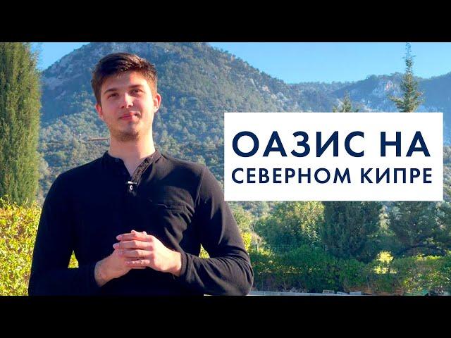 Оазис на Северном Кипре. Проект Oasis Эсентепе