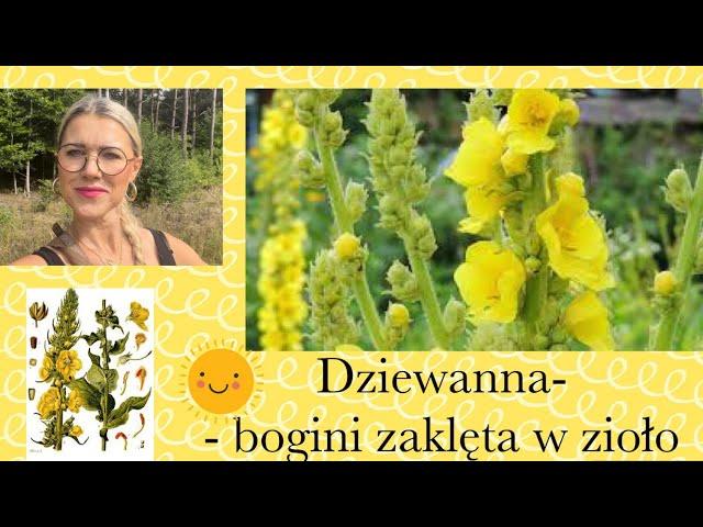 Dziewanna - bogini łąk i miłości. 