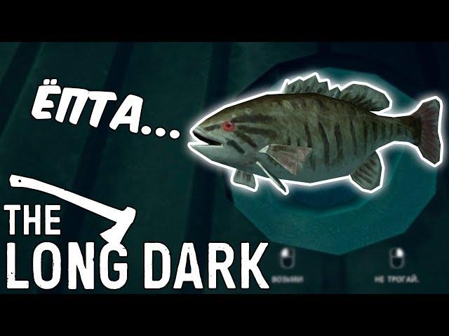 ГОВОРЯЩАЯ РЫБА!  THE LONG DARK