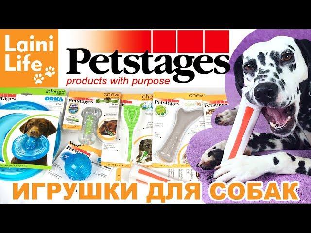 Игрушки для собак вандалов и не только! РОЗЫГРЫШ игрушек Petstages