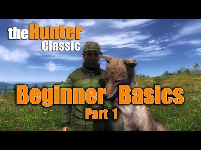 TheHunter Classic Beginner Basics: The Hunt