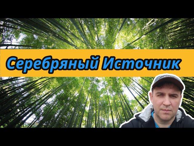 СЕРЕБРЯНЫЙ ИСТОЧНИК SILVER SPRING