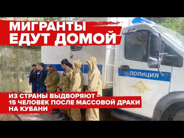 Мигранты едут домой: из страны выдворяют 15 человек после массовой драки на Кубани