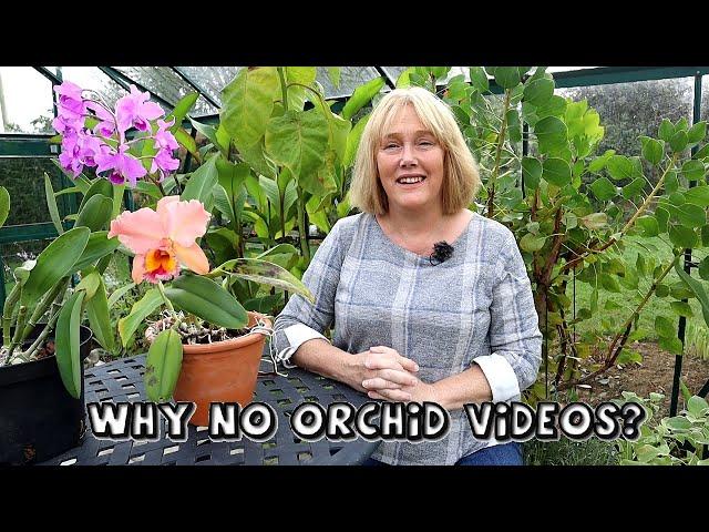 What Happened to my Orchid Collection || Why I Haven't Been Making Orchid Videos