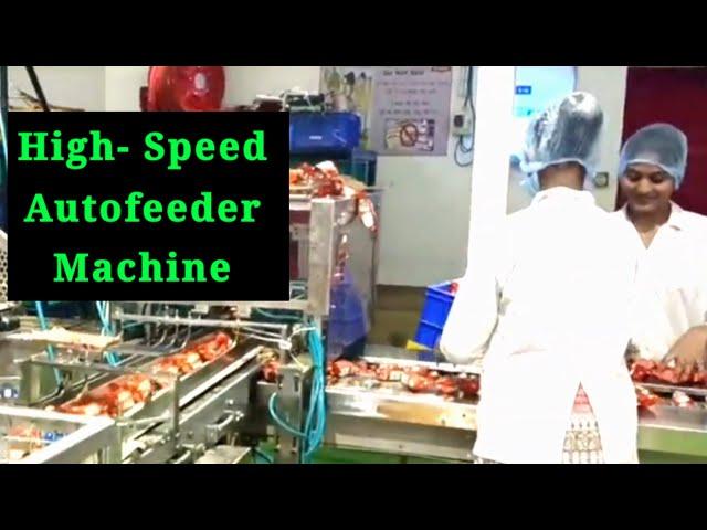 High Speed Autofeeder Pouch Packing Machine  | Xtreme planning