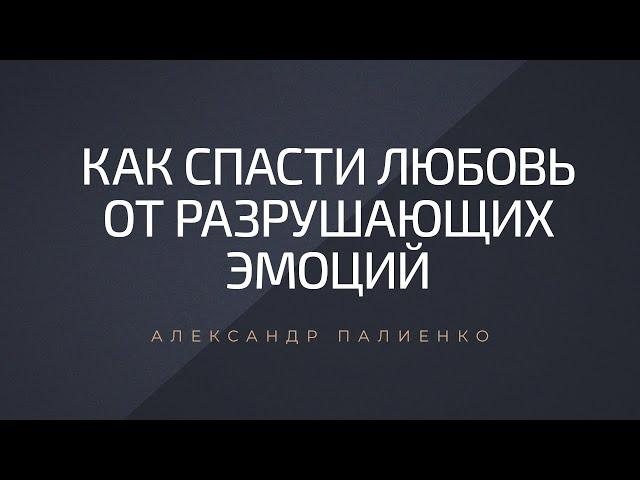 Как спасти любовь от разрушающих эмоций. Александр Палиенко.