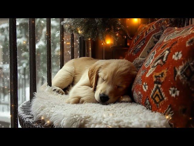 Relaxing music for dogs for 12 hours  Calmness and deep sleep 