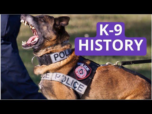 The reason German Shepherd became police dogs