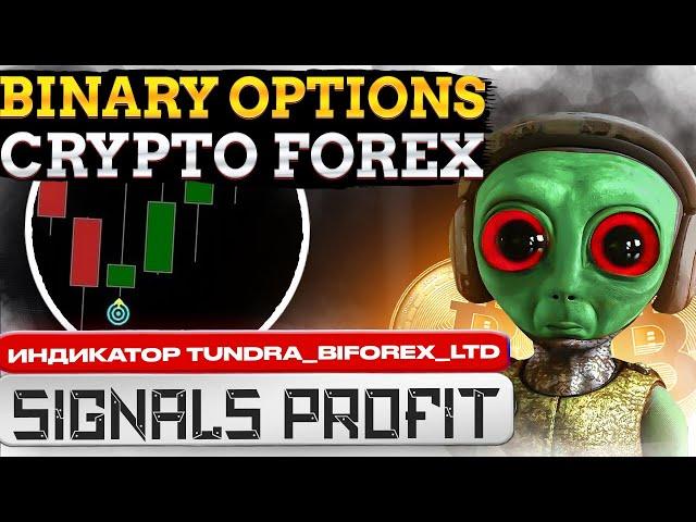 Индикатор mt4 Tundra Biforex Точные Сигналы под Бинарные опционы форекс. Binary options Forex Crypto