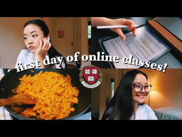 first day of online classes: harvard sophomore vlog! || pre-med neuroscience 