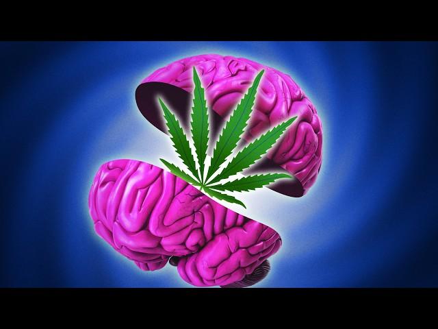 Why Marijuana Is Good for Your Brain – But Bad for Your Mind