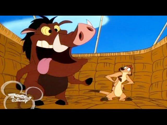 Timon & Pumbaa Season 1x56 -  It Runs Good - Hot Air Buffoons Full Episode