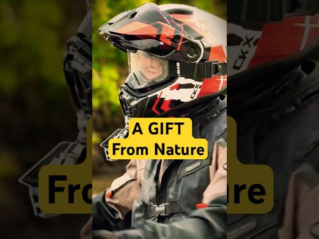 A Gift From Nature (CKX Altas Helmet) feat. Ragged Randy The Sasquatch - David Attenborough
