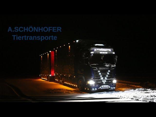 Scania V8 R580 A.Schönhofer