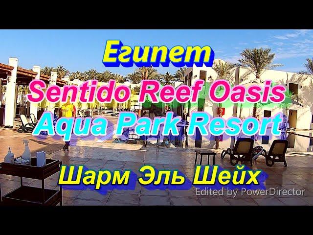 Sentido Reef Oasis Aqua Park Resort 5 Обзор отеля Sentido Reef Oasis Senses Resort Sharm-el-Sheikh.