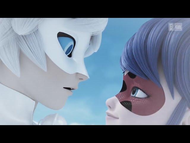 Miraculous Ladybug AMV | Cat Blank