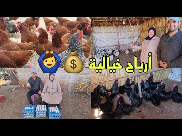 زيارة مي مليكة أكبر مزرعة الدجاج سلالاتأحسن مشروع ساهل ناجح%100 بدون تكليف كبيرةأرباح خيالية