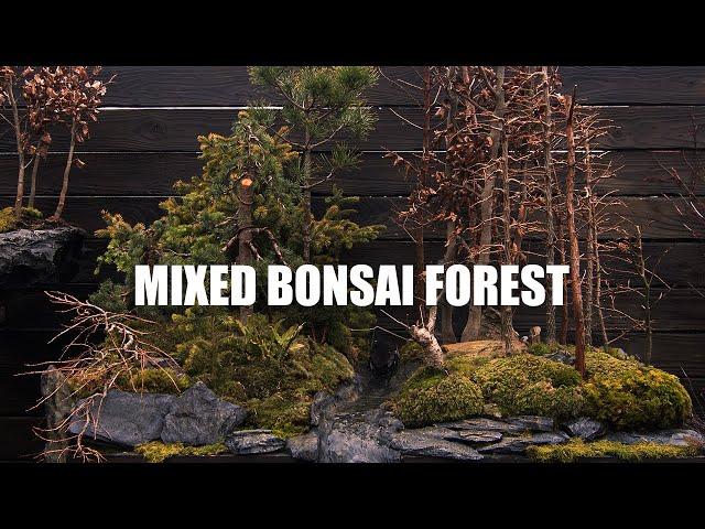 How to make a Mixed Bonsai Forest with a Waterfall