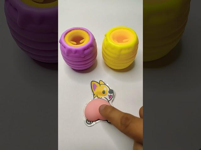 Squishy Corgi Weee! #satisfying #squishy #corgi #weee #fun #trend #funny #asmr #shorts