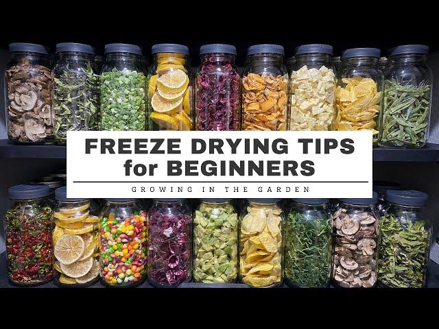 FREEZE DRYING tips for BEGINNERS: plus What's the DIFFERENCE between DEHYDRATING & FREEZE DRYING?